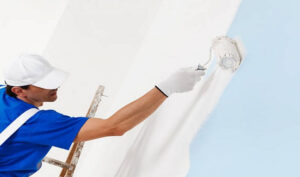  painters in Auckland 