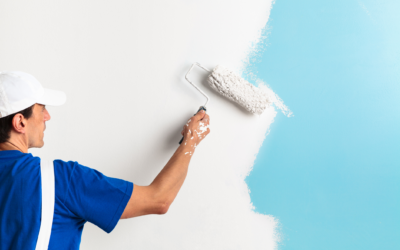 Painting Contractors Wellington: How to Spot a Professional Before You Hire