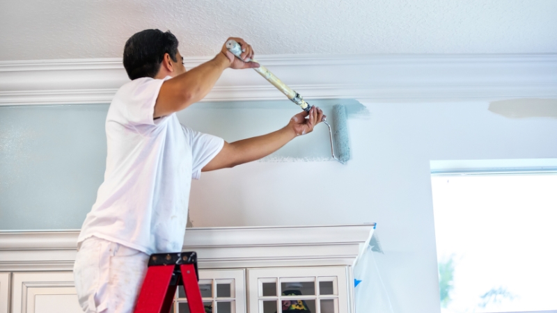 Interior painters in wellington