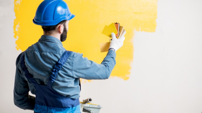 Interior painters in wellington