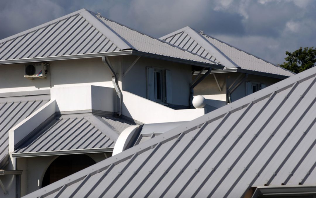 Why More Wellington Homeowners Are Choosing Metal Roof Painting?
