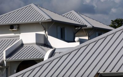 Why More Wellington Homeowners Are Choosing Metal Roof Painting?