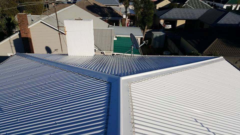 Roof painting inspection