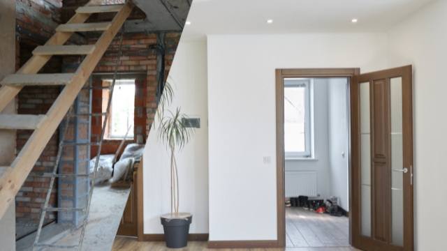 a room with a plant in it and mistakes