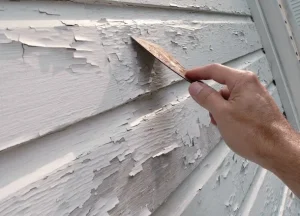 man removing painting