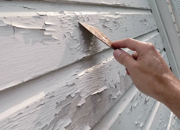 Lower Hutt Homes Issues 