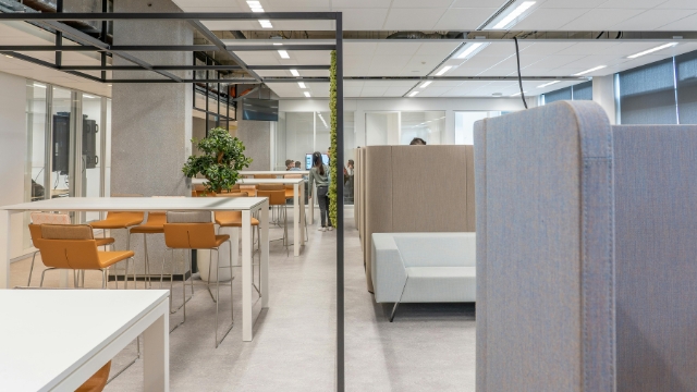 Commercial Painting projects