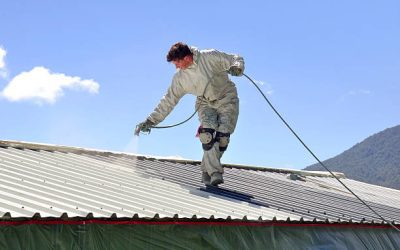 Roof Painting Wellington: A Complete Guide from Preparation to Final Finish