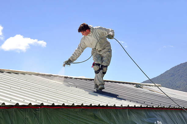 roof painting wellington-guide