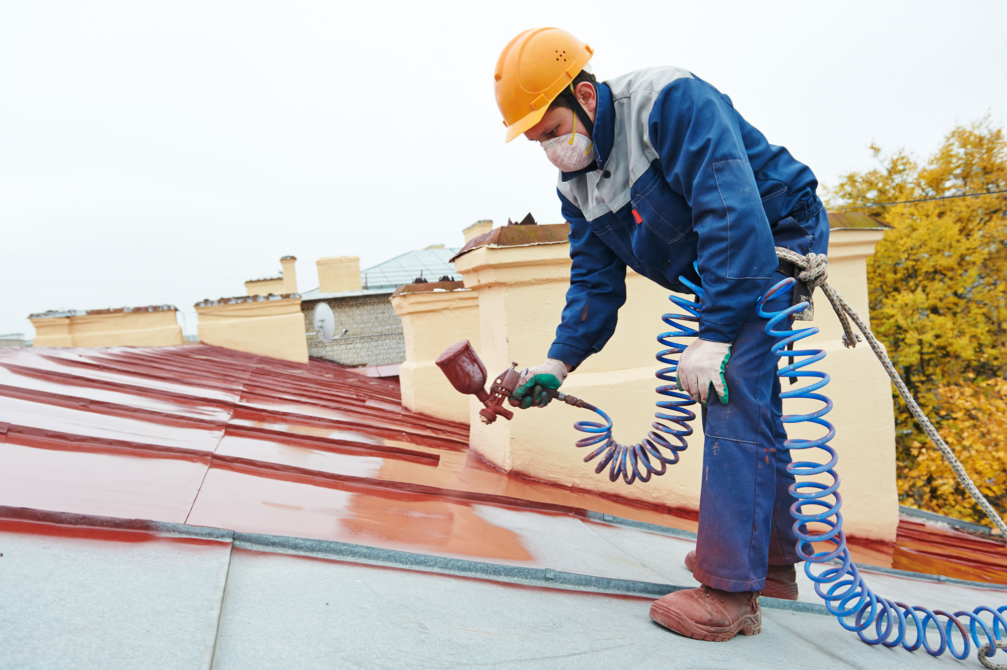 roof painting