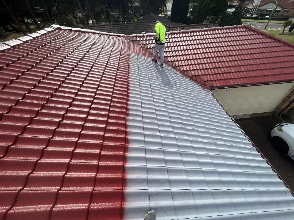 Roof Painting Wellington
