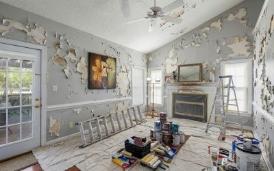 Why Does Interior Paint Peel? Common Causes in Auckland Homes
