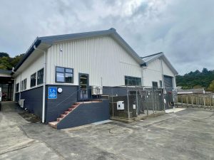  painters in Auckland 