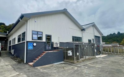 House Painters Lower Hutt: Why Local Expertise Matters for Hutt Valley Homes